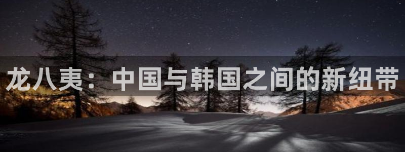 壹号电子娱乐app