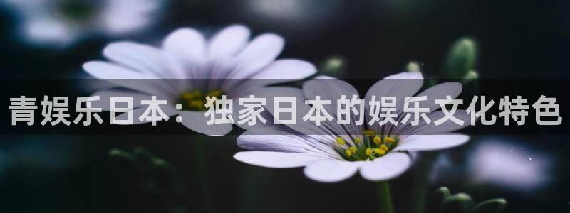 壹号大舞台