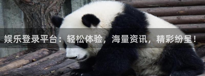 壹号电子娱乐app下载官网