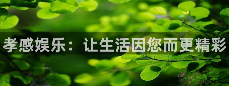 万向娱乐app网页入口