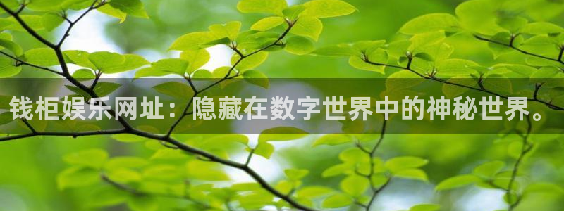 万向娱乐app入口