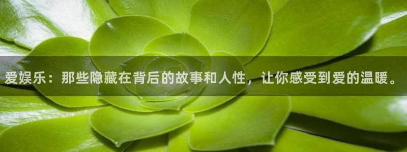 万向娱乐app网页入口