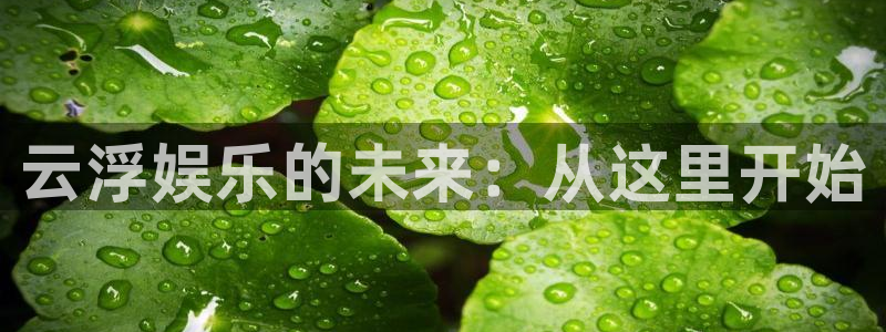 壹号平台下载