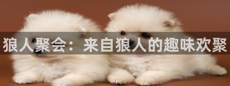 万向娱乐充值怎么退款