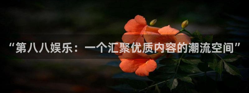伟德国际集团 壹号(one game)
