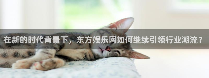 万向娱乐app