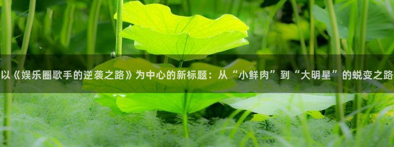万向娱乐：以《娱乐圈歌手的逆袭之路》为中心的新标题：从“小鲜肉”到“大明星”的蜕变之路