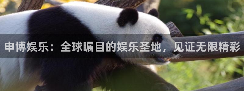 万向娱乐能退款吗：申博娱乐：全球瞩目的娱乐圣地，见证无限精彩