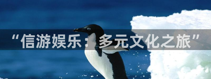 万向娱乐,apk：“信游娱乐：多元文化之旅”