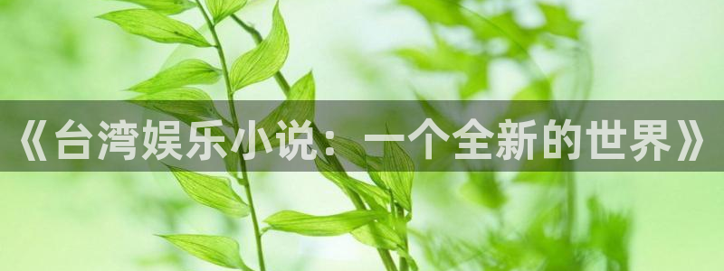 万向娱乐能退款吗：《台湾娱乐小说：一个全新的世界》