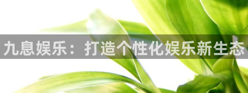 万向娱乐下载：九息娱乐：打造个性化娱乐新生态
