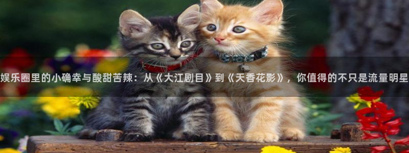 壹号大舞台官网：娱乐圈里的小确幸与酸甜苦辣：从《大江剧目》到《天香花影》，你值得的不只是流量明星