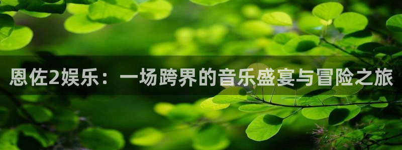 壹号平台下载安装：恩佐2娱乐：一场跨界的音乐盛宴与冒险之旅