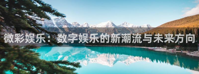 壹号大舞台怎么注册：微彩娱乐：数字娱乐的新潮流与未来方向