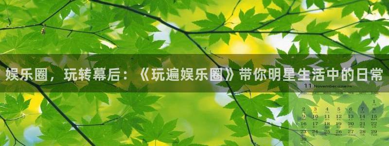 壹号大舞台怎么注册：娱乐圈，玩转幕后：《玩遍娱乐圈》带你明星生活中的日常
