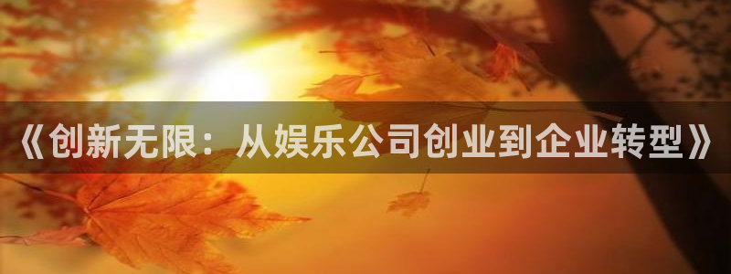 万向娱乐app官网下载：《创新无限：从娱乐公司创业到企业转型》