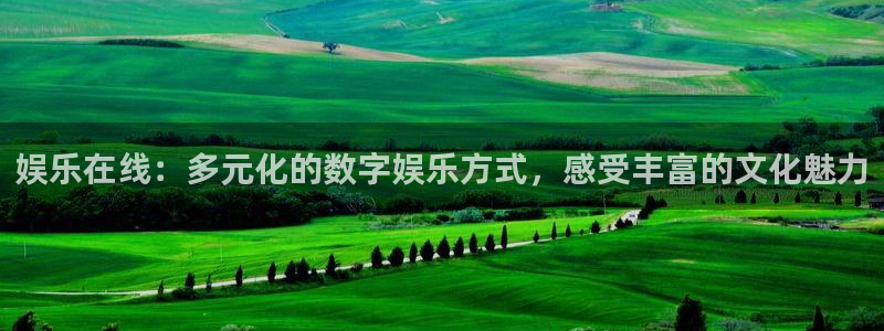 万向娱乐怎么下载：娱乐在线：多元化的数字娱乐方式，感受丰富的文化魅力