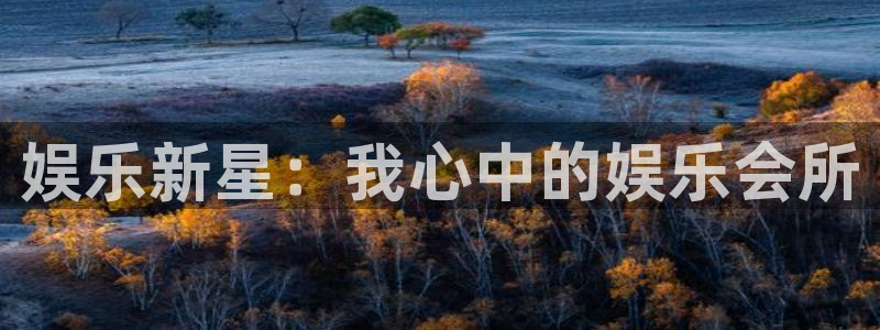 万向娱乐app最新版怎么下载苹果：娱乐新星：我心中的娱乐会所