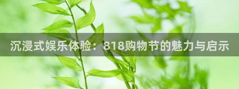 壹号下载官网入口：沉浸式娱乐体验：818购物节的魅力与启示